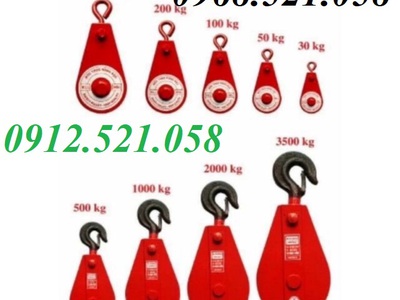 Móc treo ròng dọc sắt đỏ 30kg, 50kg,100kg,200,300kg 0912521058 Sơn Mr có puly sắt 1,2,3,5,10 tấn 9