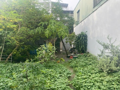 Hàng kín   đất hiếm full thổ cư 383m    đông hưng thuận 17, q12 3