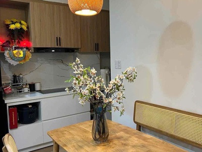 Căn hộ 4 tầng 1 tum, thang máy - trung tâm Hòa Cường bắc 2