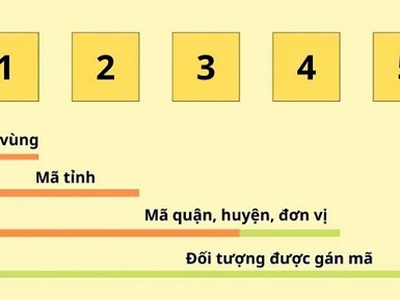 Vai trò quan trọng của Mã bưu chính trong hệ thống bưu chính hiện đại 0