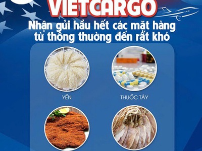 VietCargo   Chuyên dvụ gửi thực phẩm sang Đài Loan với mức giá hợp lý, an toàn 0