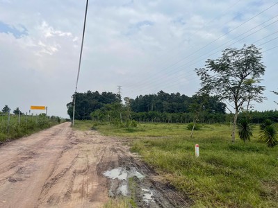 Giảm sốc 46 tỷ  4.7ha đất shr sát sân bay long thành   long an đồng nai sss 2