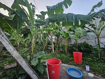 Đất đê vàng phúc lợi 106 m2 mặt tiền  6.5m 11 tỷ long biên hà nội.ô tô vào đất. 2