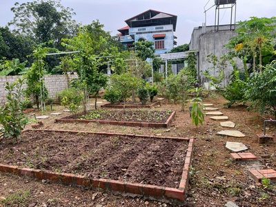 Chính chủ em bán nhà vườn đẹp 366m2 sơn đông, nay thuộc xã đoài phương- hà nội 4