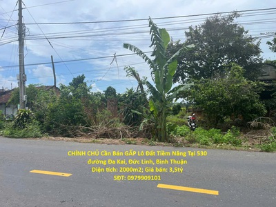 Chính chủ cần bán gấp lô đất tiềm năng tại 530 đường đa kai, đức linh, bình thuận 0