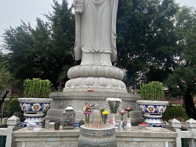 Chậu hoa đắp sành sứ, cẩn miểng thủ công mỹ nghệ 7