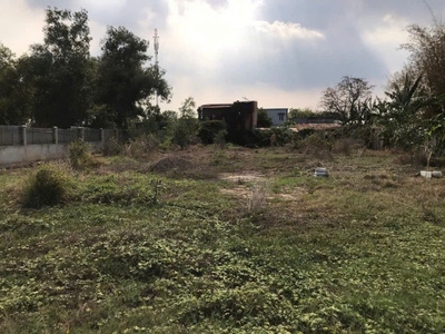 Đất vuông shr hxh 1440m2   trương thị như hóc môn 0