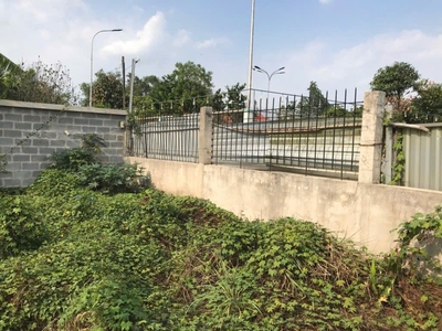 Đất vuông shr hxh 1440m2   trương thị như hóc môn 1