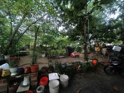 Đất vuông shr hxh 300m2   tân hiệp 4 hóc môn ss 0
