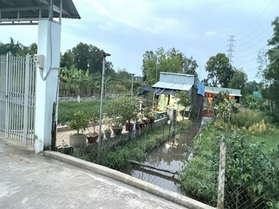 Đất vuông shr hxh 2798m2   đông thạnh 2 hóc môn 0