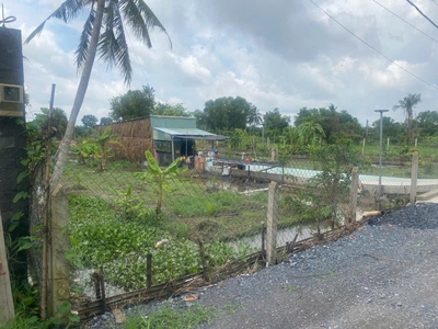 Đất vuông shr hxh 2798m2   đông thạnh 2 hóc môn 2