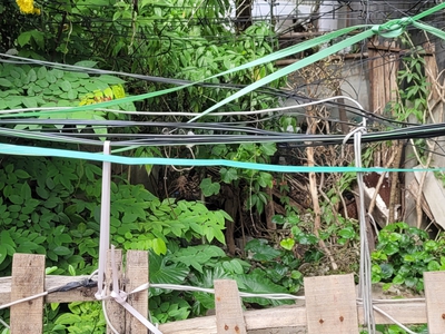 Bán đất thổ cư kđt sài đồng   lô đẹp, vị trí đáng sống bậc nhất long biên 0