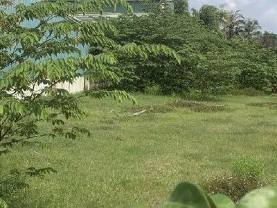 Lô đất mặt tiền đường 20m tân thới nhì, hóc môn, diện tích 2.300m2  20 x 115 , gần chợ hóc môn. 3