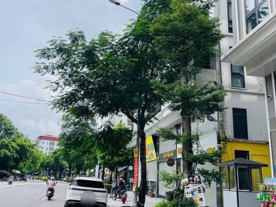 Nhà mặt phố khương đình-kinh doanh sầm uất- 48m, 7 tầng, thang máy. 22.9 tỷ 0