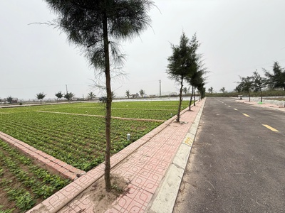 Em cần bán lô khu đất quất lâm ven biển 90m2 chỉ 1.5 tỷ thôi ạ 3