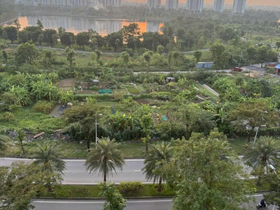 Chính chủ bán căn hộ 77m2 tầng 8 chung cư HH01 Thanh Hà Cienco 5   View hồ 5