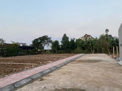 Tin sốc triệu sơn   vân sơn lên cơn sốt  cần bán  lô đất  tt.triệu sơn, triệu sơn, thanh hóa 2