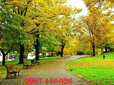 Tranh gạch phong cảnh, tranh ốp tường đẹp phòng khách HP09 6