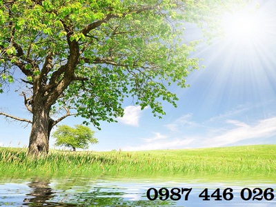 Tranh gạch phong cảnh, tranh ốp tường đẹp phòng khách HP09 5