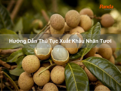 Hướng Dẫn Thủ Tục Xuất Khẩu Nhãn Tươi 0