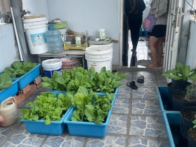 Bán nhà căn góc 2 mặt hẻm ô tô bông sao, quận 8, nhỉnh 6 tỷ. dòng tiền 7tr/tháng 2