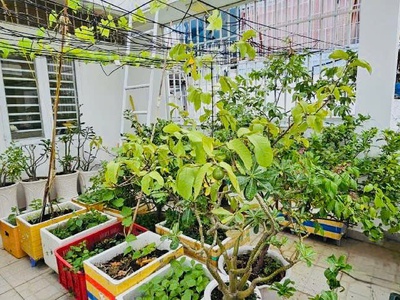 Siêu phẩm mặt tiền c1   khu vip tân bình   ngay cộng hòa, nhà mới tinh 6 tầng   kinh doanh đỉnh cao. 4