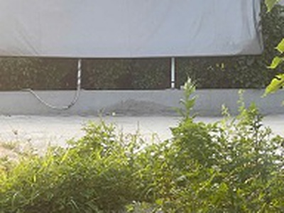 Chính chủ bán đất 2 mặt tiền   máng nước, an đồng, an dương, hải phòng 1