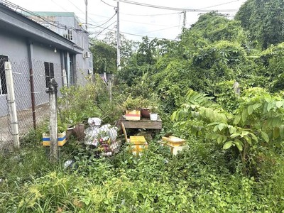 Lô đất thổ cư 114m2, ngang gần 6m đường thạnh lộc 15, an phú đông, giáp sông sài gòn, đất trống 2