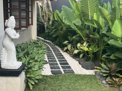 Thi Công Cỏ Nhung Nhật Thảm Cỏ Mịn Đẹp Cho Sân Vườn 2025 1