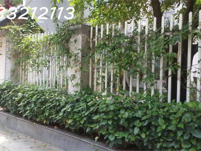 Bán biệt thự sân vườn mặt tiền 10,5m x 23m, dt 215m2  sử dụng 239m2  3 tầng, sổ đỏ cc 4