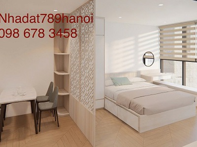 Cho thuê căn hộ cao cấp the nitety complex   90 đường láng, đống đa   13 triệu/tháng 1