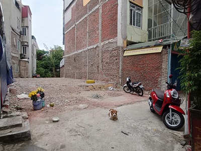 Bán đất ngô gia tự, việt hưng, long biên - ngõ rộng, ô tô vf5 vào đất 1