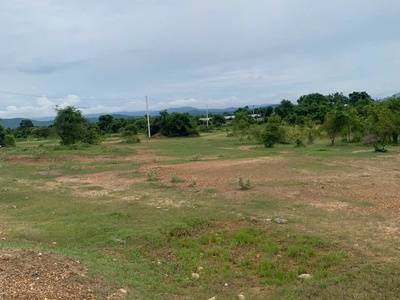 Bán 85 hécta đất ở xã hồng liêm, huyện hàm thuận bắc, tỉnh bình thuận . 0