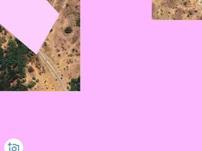 Bán 85 hécta đất ở xã hồng liêm, huyện hàm thuận bắc, tỉnh bình thuận . 4