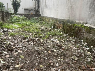 133TR/M2 đất-mặt ngõ thông ô tô tránh-vỉa hè rộng-sổ đỏ đẹp-Thúy Lĩnh Hoàng Mai 1