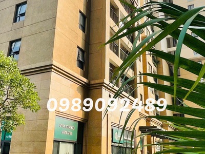 Bán shophouse căn góc tại Dcapitale Trần Duy Hưng 46 tỷ 1