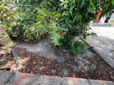 Bán đất Quảng Cư - Quảng thanh nay là phường Lê Ích Mộc 1