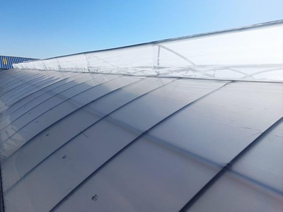 ĐỘT PHÁ Năng Suất Cùng Màng Nhà Kính Công Nghệ Cao của Israel      0