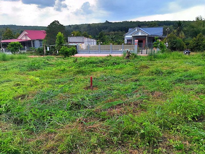 Em cần bán nhanh lô đất đẹp ở Lộc Hưng   Lộc Ninh, Bình Phước  1