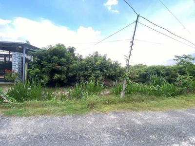 Bán đất Lộc Hưng, huyện Lộc Ninh, Bình Phước. 1