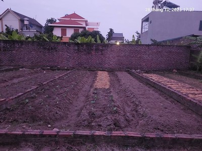 Đất đình trung, 46m2, mt4.5m, xe tải, 3.1 tỷ. đông anh , thư lâm. 0