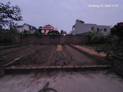 Đất đình trung, 46m2, mt4.5m, xe tải, 3.1 tỷ. đông anh , thư lâm. 3