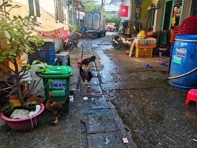 Ngay trung tâm hóc môn, cấp 4 133m  hẻm ô tô. sát chợ hóc môn, giá rẻ chỉ 4,2 tỷ thương lượng. 2