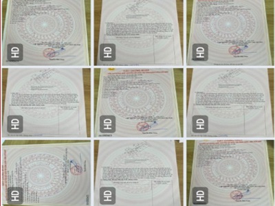 Cần bán dự án của gia đình nhiều bds tại ngõ 195  p.phúc lợi, long biên 0