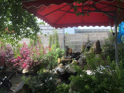 Bán nhà diên toàn-diên khánh -dt: 188m2 ngang 8m nở hậu -hướng bắc -hiện trạng đường 6m ô tô né 0