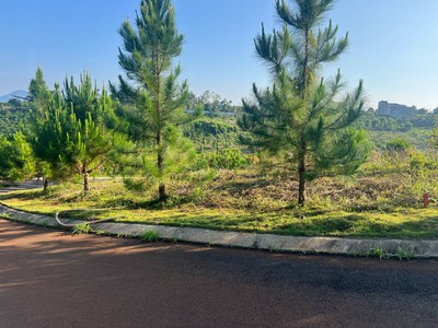 Siêu phẩm đất nền biệt thự đồi sinh thái nghỉ dưỡng 128,4 m  tại P.2, TP. Bảo Lộc, trục đường 28m 2