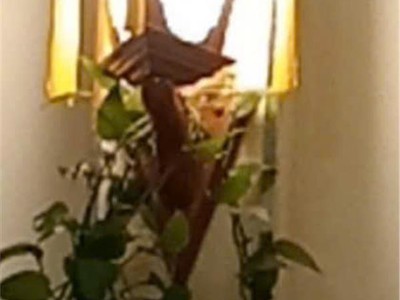 Rẻ nhất phố phú diễn   bán nhà đẹp long lanh   lô góc   ô tô đỗ cửa   kinh doanh   thang máy 3