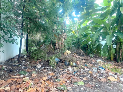 Lô đất 105m    mặt tiền đường số 18, hiệp bình chánh   full thổ cư, xây tự do 2