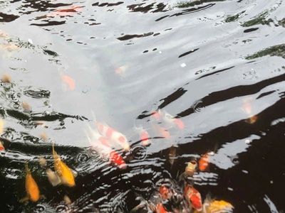 Bán nhà diên toàn-diên khánh dt: 188m2 giá bán: 3,3tỷ có thương lượng 0