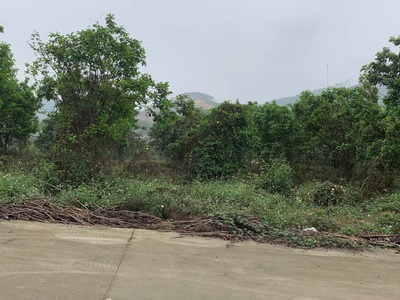 Chính chủ cần bán gấp lô đất đẹp tại km9   thái long - tuyên quang 0